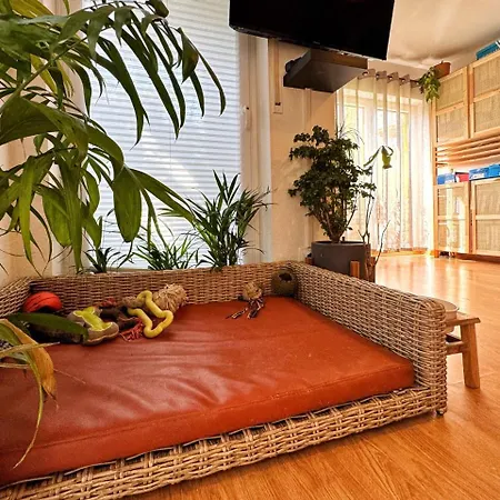 Apartment I Petfriendly Spaceous In Friedrichshain