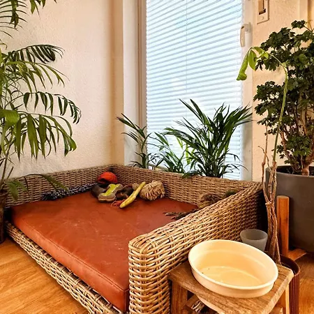 Apartment I Petfriendly Spaceous In Friedrichshain Berlin